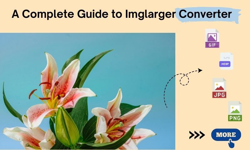 A Complete Review of Imglarger’s Photo Converter